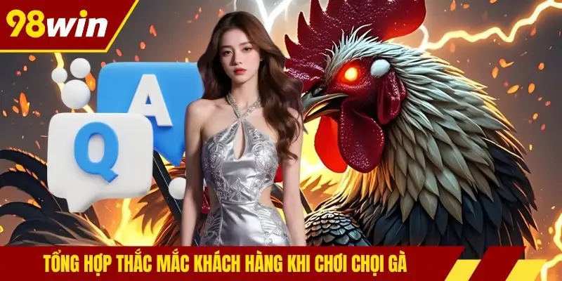Tổng hợp thắc mắc khách hàng khi chơi chọi gà