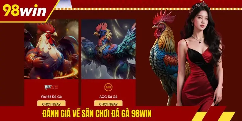 Đánh giá về sân chơi đá gà 98win