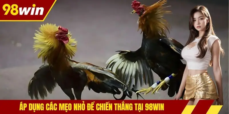 Áp dụng các mẹo nhỏ để chiến thắng tại 98WIN