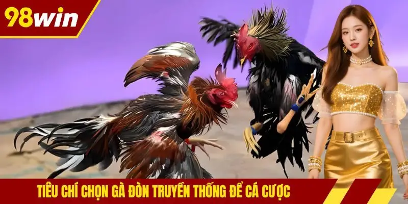 Tiêu chí chọn gà đòn truyền thống để cá cược