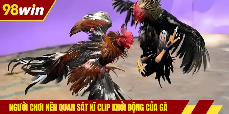 Người chơi nên quan sát kĩ clip khởi động của gà