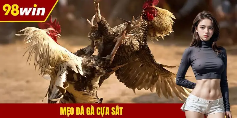 Mẹo đá gà cựa sắt