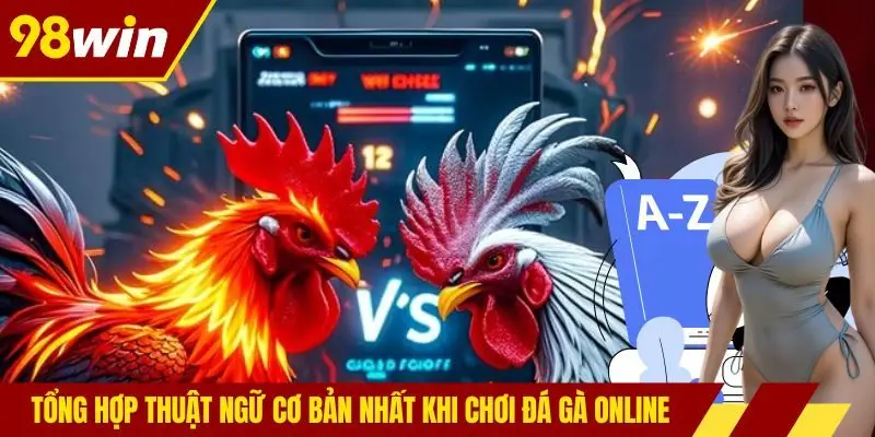 Tổng hợp thuật ngữ cơ bản nhất khi chơi đá gà online
